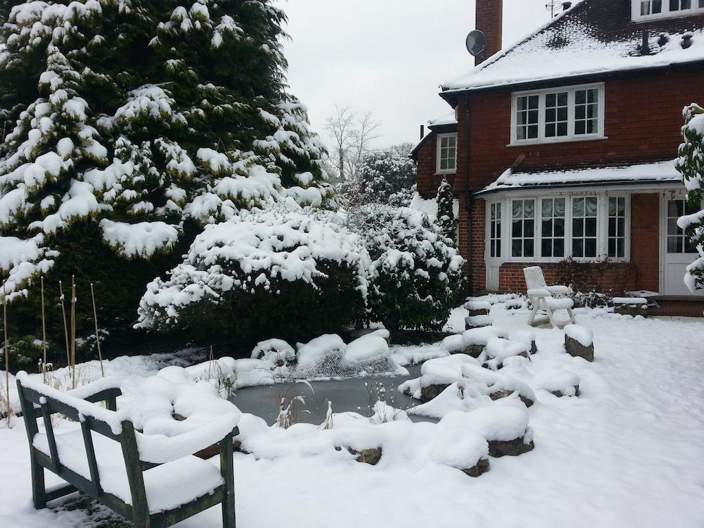 Rosemead Guest House Claygate Zewnętrze zdjęcie