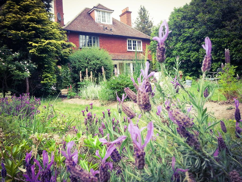 Rosemead Guest House Claygate Zewnętrze zdjęcie